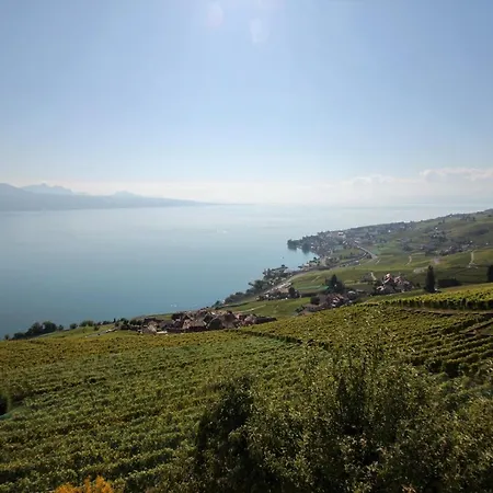 Апартаменты De Standing Dans Le Lavaux