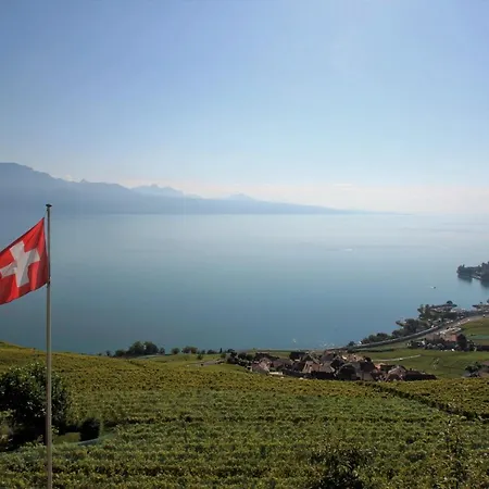 Apartment De Standing Dans Le Lavaux