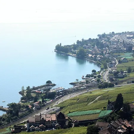 De Standing Dans Le Lavaux Apartment Cully