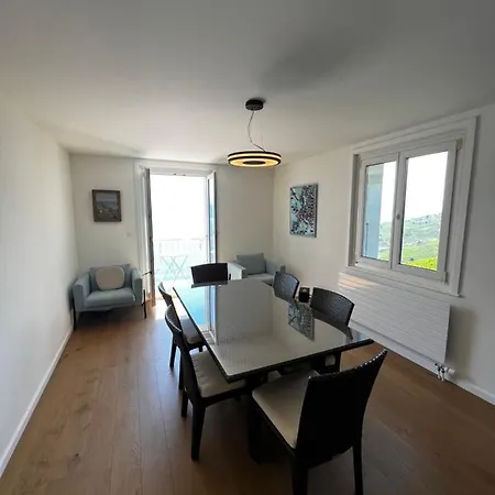 Apartment De Standing Dans Le Lavaux *